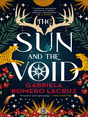 cover image of The Sun and the Void